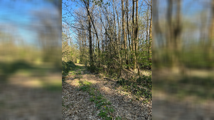 Ma-Cabane - Vente Terrain LE VIEIL BAUGE, 16366 m²