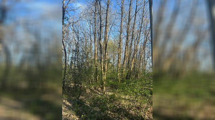 Ma-Cabane - Vente Terrain LE VIEIL BAUGE, 16366 m²