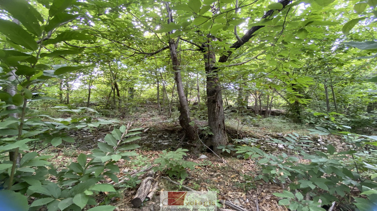 Ma-Cabane - Vente Terrain LE VIGAN, 1138 m²