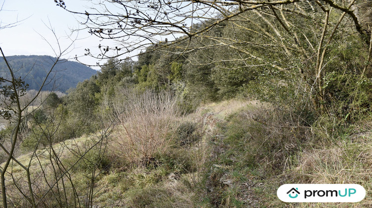 Ma-Cabane - Vente Terrain Le Vigan, 2780 m²