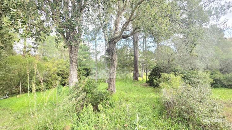 Ma-Cabane - Vente Terrain LECCI, 1000 m²