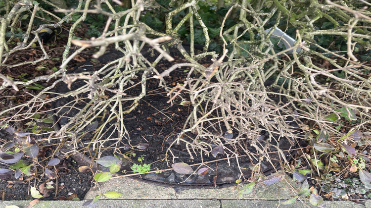 Ma-Cabane - Vente Terrain Leffrinckoucke, 662 m²