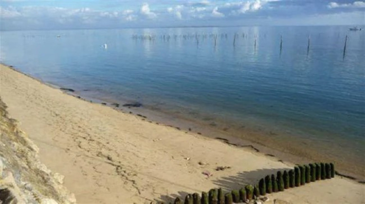 Ma-Cabane - Vente Terrain Lège-Cap-Ferret, 586 m²