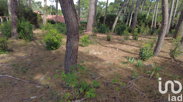 Ma-Cabane - Vente Terrain Lège-Cap-Ferret, 1168 m²