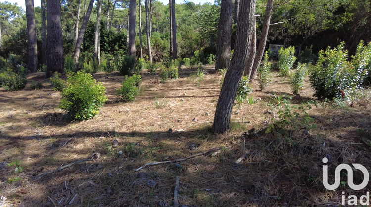 Ma-Cabane - Vente Terrain Lège-Cap-Ferret, 1168 m²