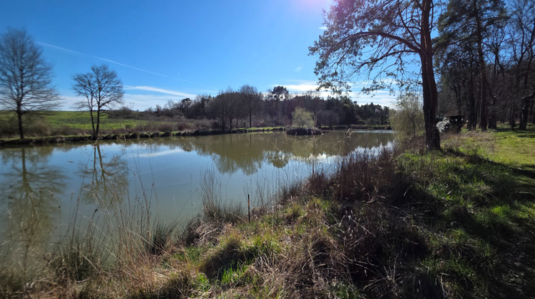 Ma-Cabane - Vente Terrain LEIGNE-LES-BOIS, 18250 m²