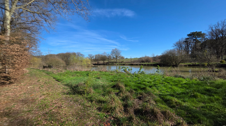 Ma-Cabane - Vente Terrain LEIGNE-LES-BOIS, 18250 m²