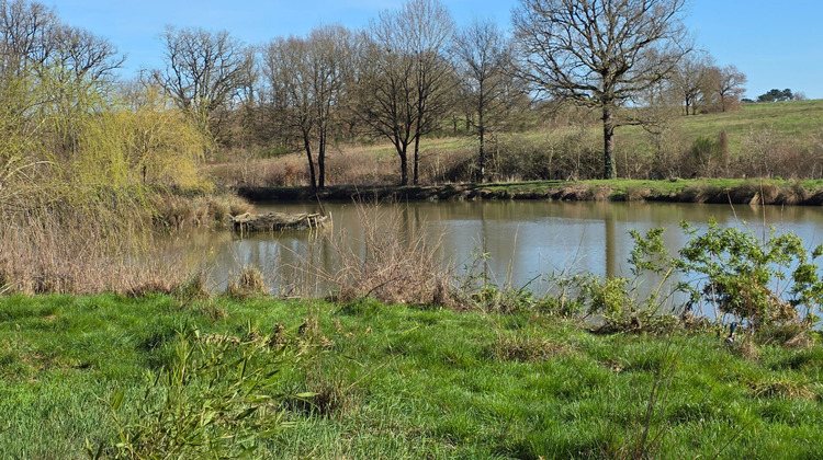 Ma-Cabane - Vente Terrain LEIGNE-LES-BOIS, 18250 m²