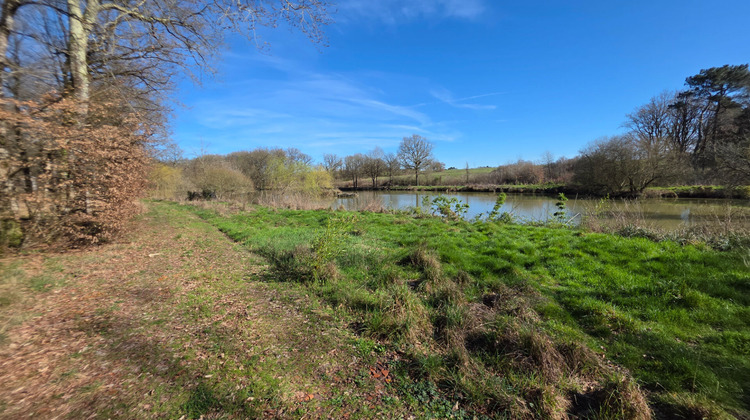 Ma-Cabane - Vente Terrain LEIGNE-LES-BOIS, 18250 m²