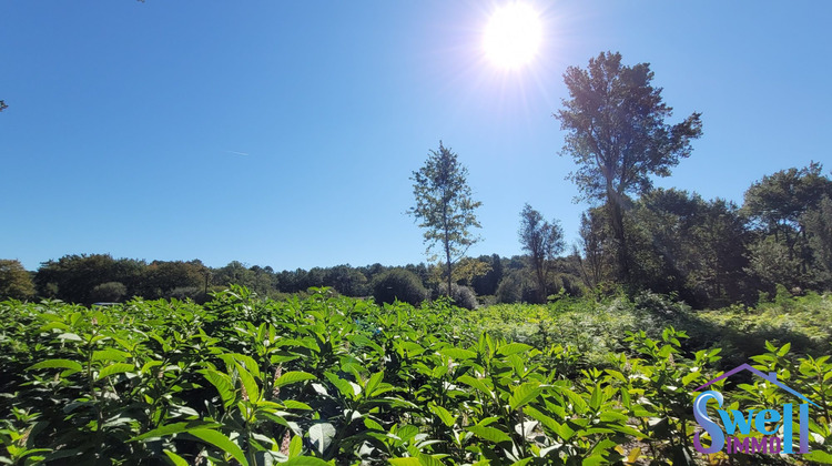 Ma-Cabane - Vente Terrain Léon, 1244 m²