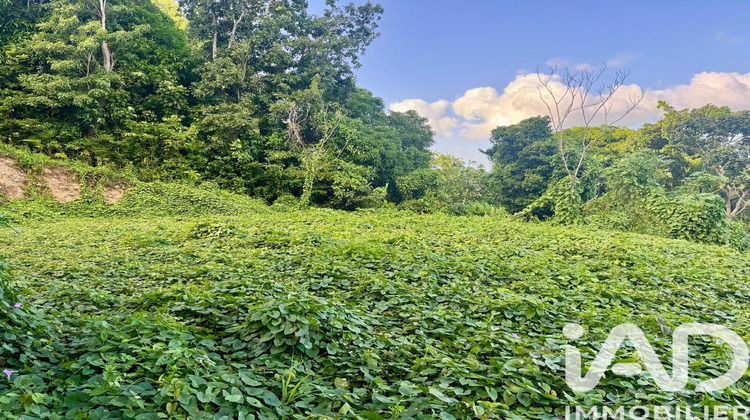 Ma-Cabane - Vente Terrain Les Abymes, 819 m²