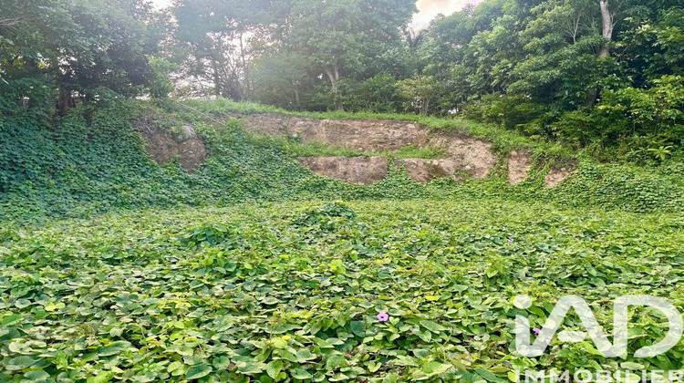 Ma-Cabane - Vente Terrain Les Abymes, 819 m²