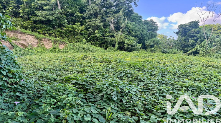 Ma-Cabane - Vente Terrain Les Abymes, 819 m²