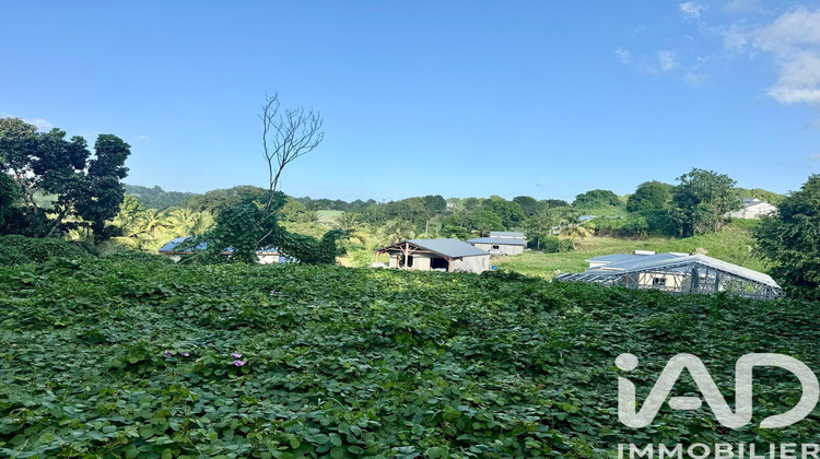 Ma-Cabane - Vente Terrain Les Abymes, 819 m²