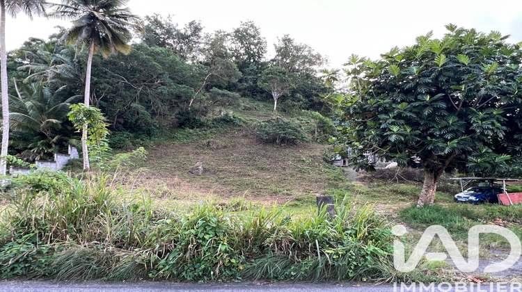 Ma-Cabane - Vente Terrain Les Abymes, 2479 m²