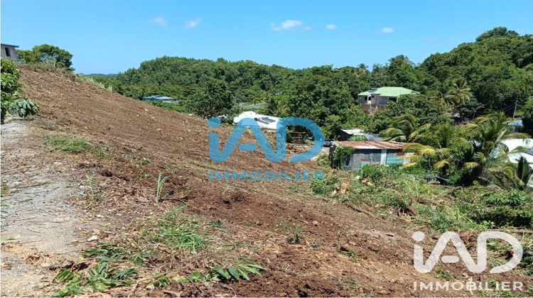 Ma-Cabane - Vente Terrain Les Abymes, 892 m²