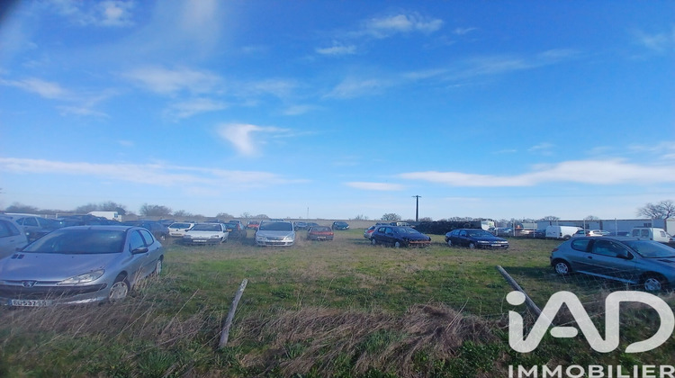 Ma-Cabane - Vente Terrain Les Cerqueux, 3000 m²