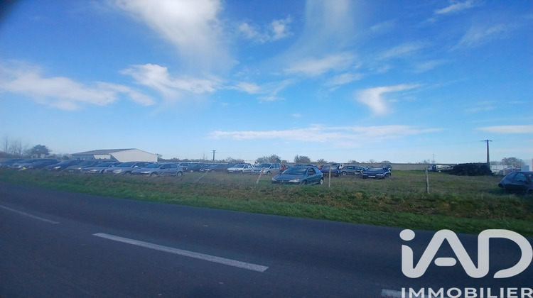 Ma-Cabane - Vente Terrain Les Cerqueux, 3000 m²