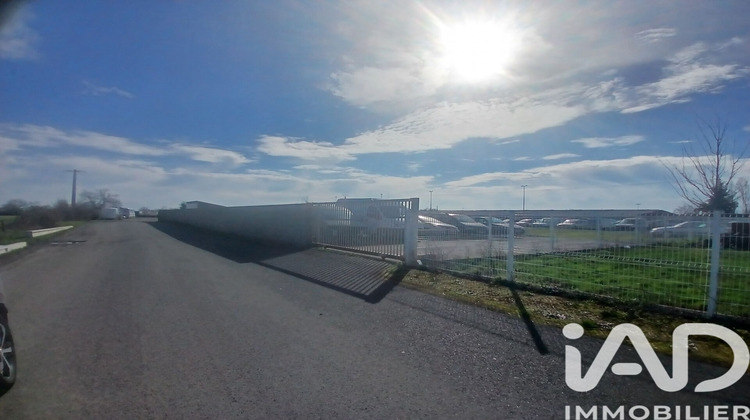 Ma-Cabane - Vente Terrain Les Cerqueux, 3000 m²