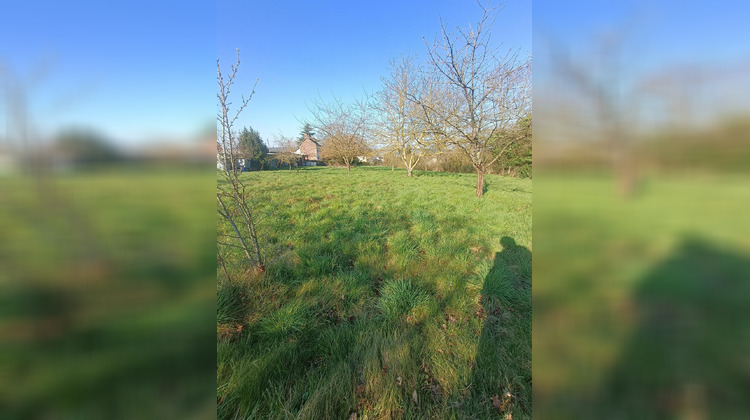 Ma-Cabane - Vente Terrain Les Damps, 2913 m²