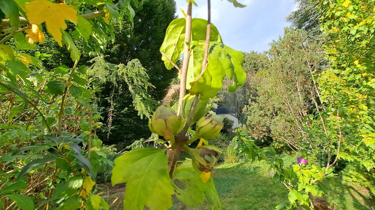 Ma-Cabane - Vente Terrain LES ESSARTS LE ROI, 652 m²