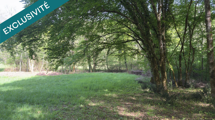 Ma-Cabane - Vente Terrain Les Eyzies-de-Tayac-Sireuil, 6056 m²