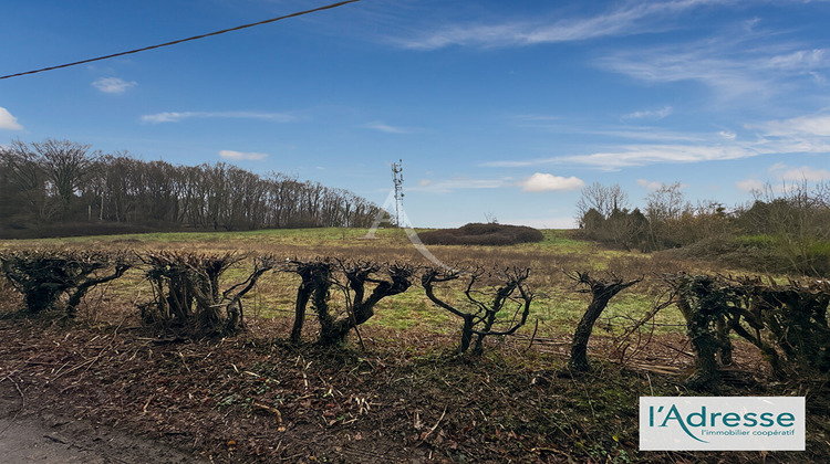 Ma-Cabane - Vente Terrain LES HOGUES, 43000 m²