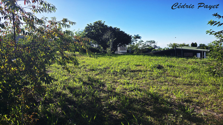 Ma-Cabane - Vente Terrain LES MAKES, 430 m²