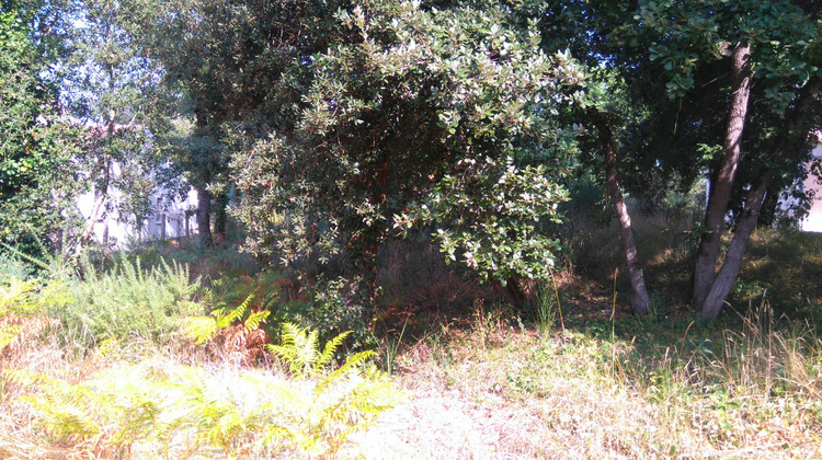 Ma-Cabane - Vente Terrain Les Mathes, 850 m²