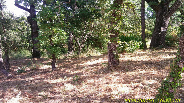 Ma-Cabane - Vente Terrain LES MAYONS, 1200 m²