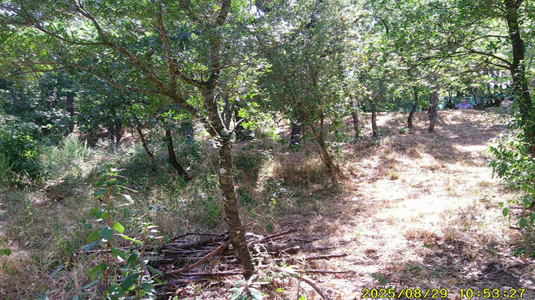 Ma-Cabane - Vente Terrain LES MAYONS, 1200 m²