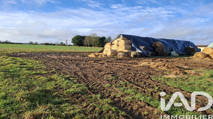 Ma-Cabane - Vente Terrain Les Pins, 1800 m²
