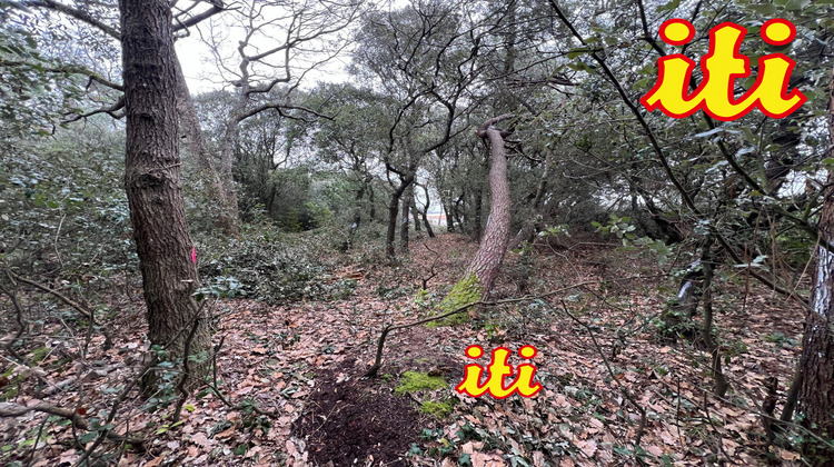 Ma-Cabane - Vente Terrain Les Sables-d'Olonne, 707 m²