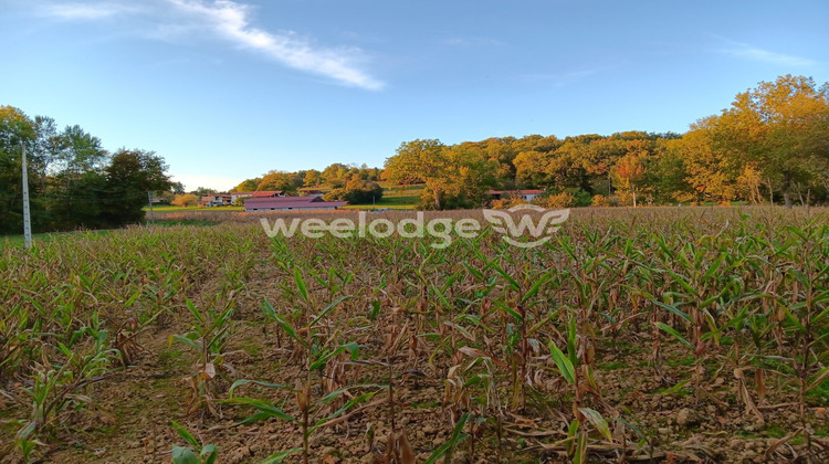 Ma-Cabane - Vente Terrain Les Tourreilles, 6760 m²