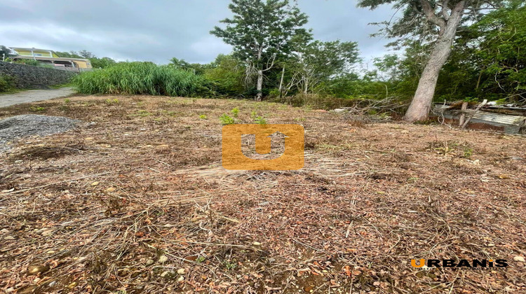 Ma-Cabane - Vente Terrain Les Trois-Bassins, 409 m²