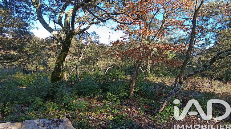 Ma-Cabane - Vente Terrain Les Vans, 1872 m²