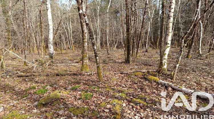 Ma-Cabane - Vente Terrain Lesparre-Médoc, 7302 m²