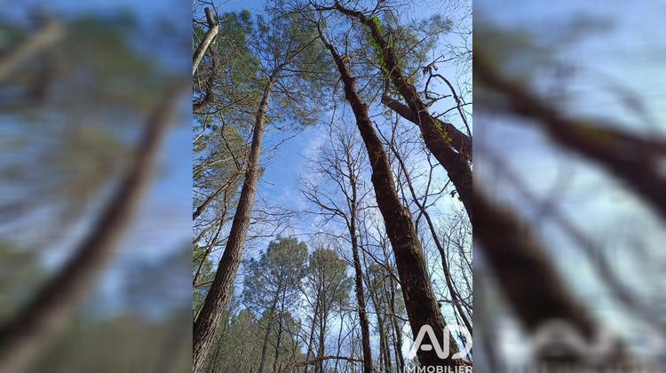 Ma-Cabane - Vente Terrain Lesparre-Médoc, 7302 m²