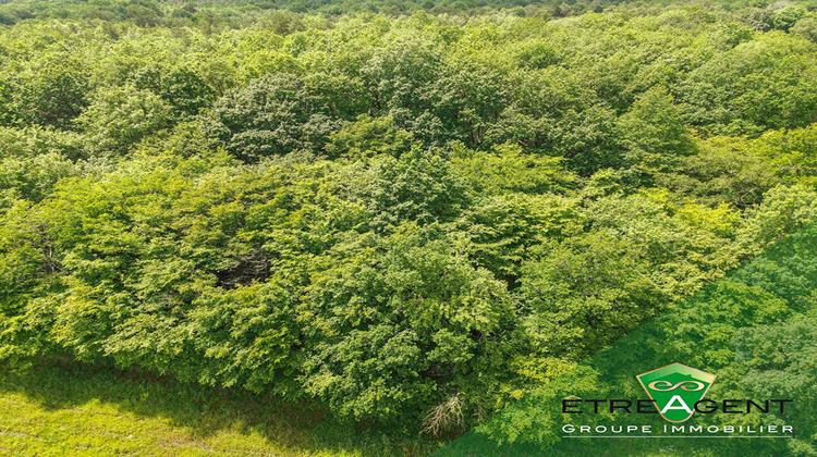 Ma-Cabane - Vente Terrain LEUDEVILLE, 50125 m²
