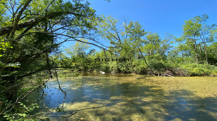 Ma-Cabane - Vente Terrain LIBOURNE, 33210 m²
