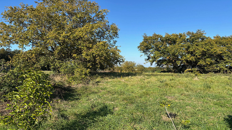 Ma-Cabane - Vente Terrain LIGNE, 459 m²