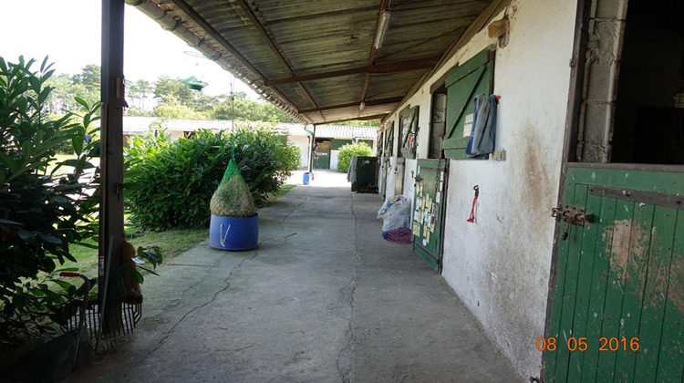 Ma-Cabane - Vente Terrain LIGNY LE RIBAULT, 170000 m²