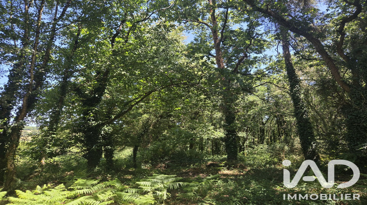 Ma-Cabane - Vente Terrain Limerzel, 3320 m²