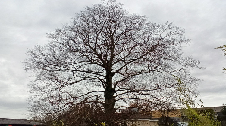 Ma-Cabane - Vente Terrain Limoges, 0 m²