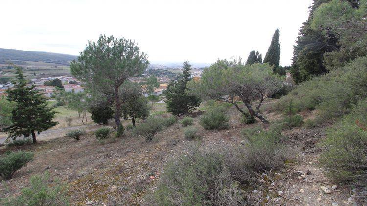 Ma-Cabane - Vente Terrain Limoux, 1515 m²