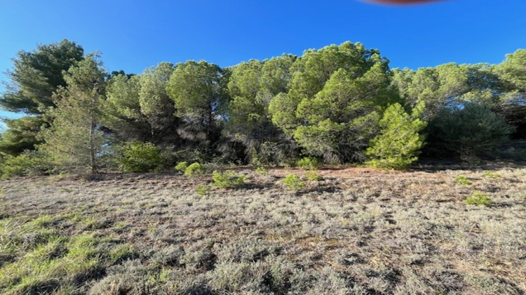 Ma-Cabane - Vente Terrain Limoux, 2350 m²