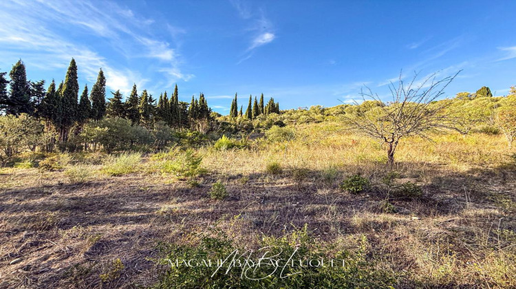 Ma-Cabane - Vente Terrain LIMOUX, 2347 m²