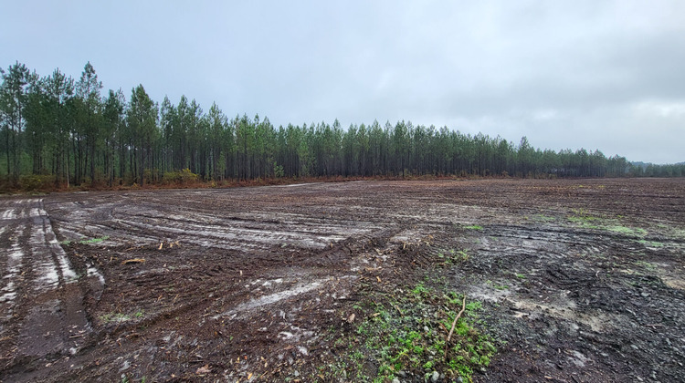 Ma-Cabane - Vente Terrain LINXE, 974 m²