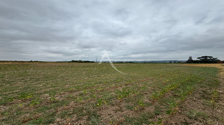 Ma-Cabane - Vente Terrain LISLE-SUR-TARN, 40000 m²
