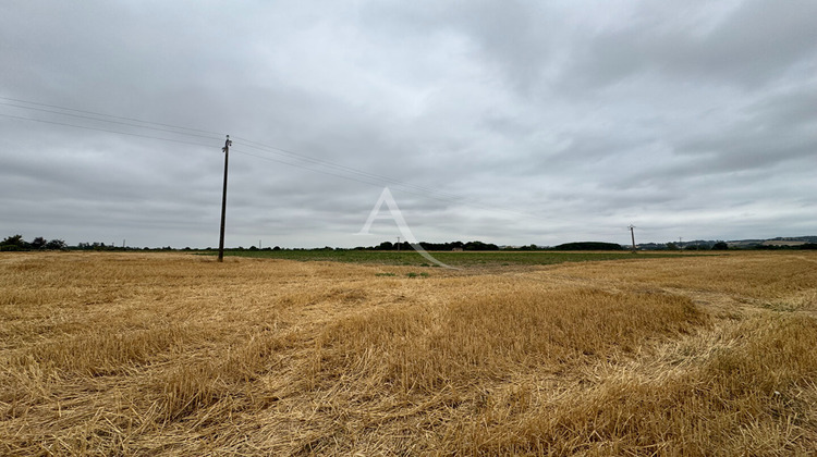 Ma-Cabane - Vente Terrain LISLE-SUR-TARN, 40000 m²